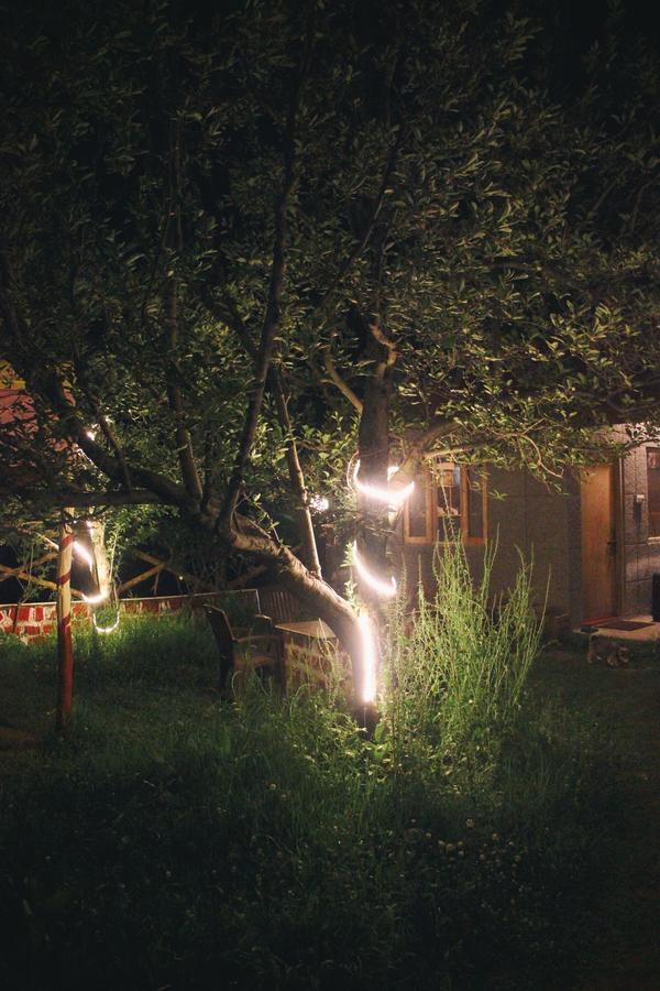 Inn Red House Cafe Manali (Himachal Pradesh)